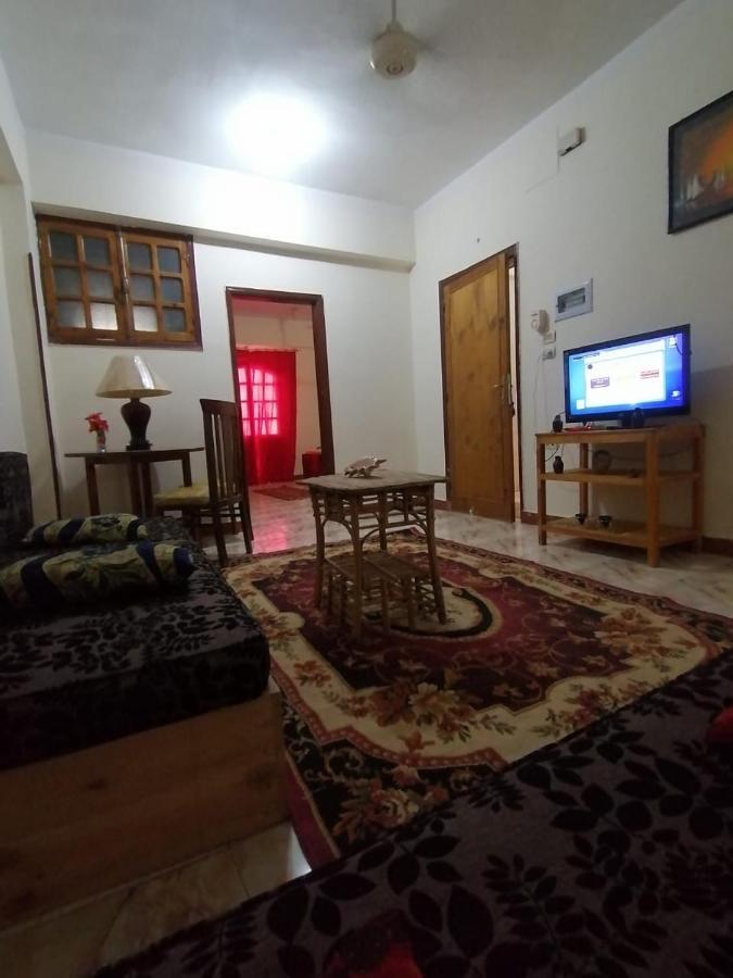 Winter Guest House Louxor Extérieur photo