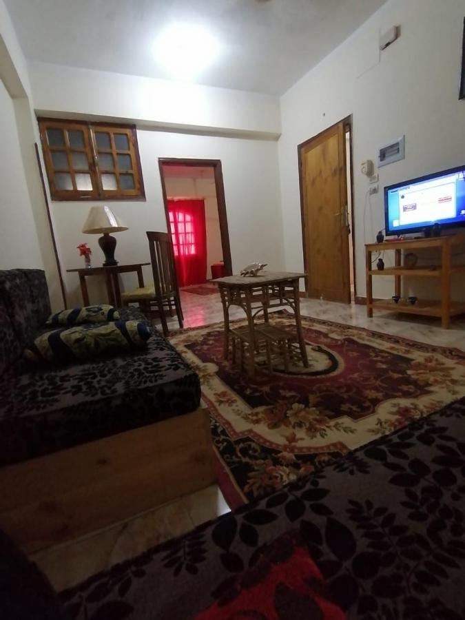 Winter Guest House Louxor Extérieur photo